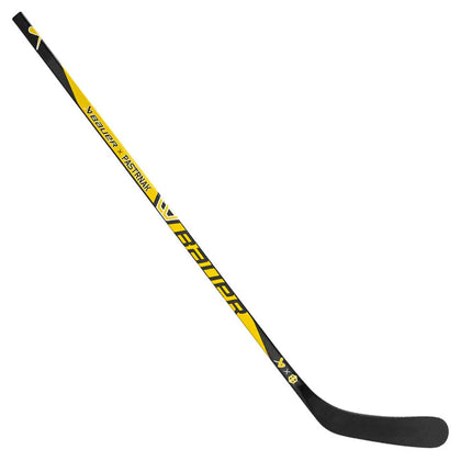 S25 Pastrnak CUSTOM COLOUR Hockey Stick